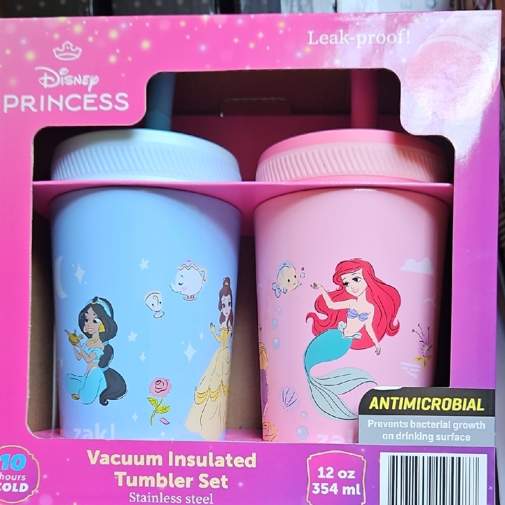 Disney Princess Stainless Steel Tumbler Duo — Pink & Blue